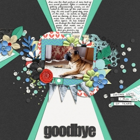sm2015-2-goodbyejustice.jpg