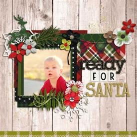 sm2016-11-17-readyforchristmas.jpg