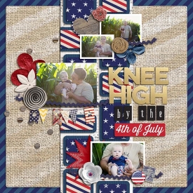 sm2016-7-4-forthofjuly-left.jpg