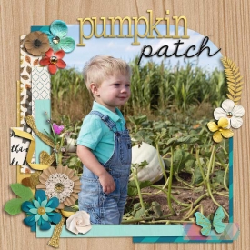 sm2017-10-1-pumpkinpatch-left.jpg