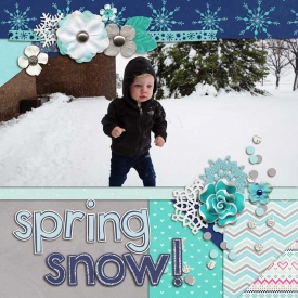 sm2017-4-4-teddyinsnow-left.jpg
