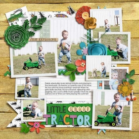 sm2017-5-8-littlegreentractor-left.jpg