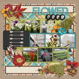 smpage23-flowerplace.jpg