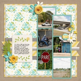 smpage26-drivingaround1.jpg
