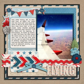 smpage3-flying.jpg