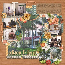 smpage58-edison_fordhouse.jpg