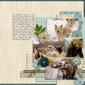 smpage62_page63.jpg