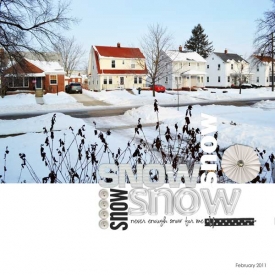 snow-web7.jpg