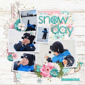snowday_cam_web.jpg