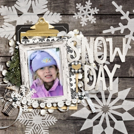 snowdaysm1.jpg