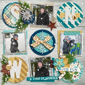 snowmuchfu-2018web.jpg