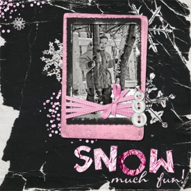 snowmuchfun1.jpg
