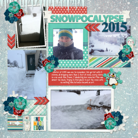 snowpocalypse-2015-web.jpg