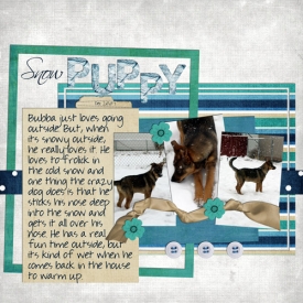 snowpuppy_web.jpg