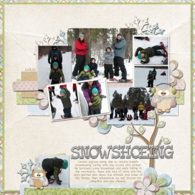 snowshoeing-wr1.jpg