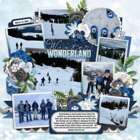 snowshoeingweb.jpg