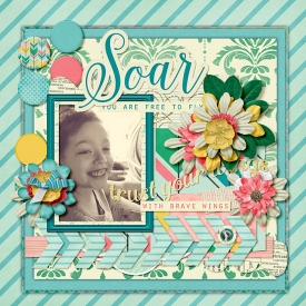 soar-web2.jpg