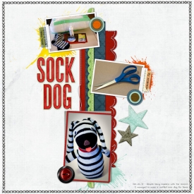 sockdog.jpg