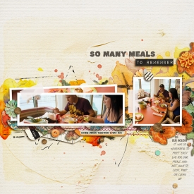 somanymeals-copy.jpg