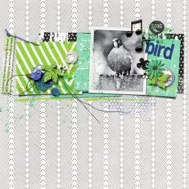 songbird-copy1.jpg