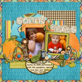 sonny-acresweb.jpg