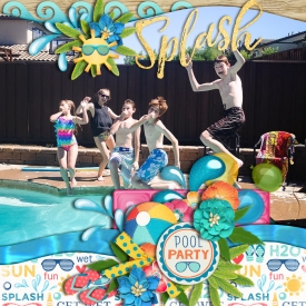 splas2013web.jpg