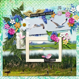 spreadyourwings_SD700.jpg