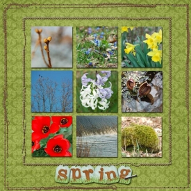 spring-web4.jpg