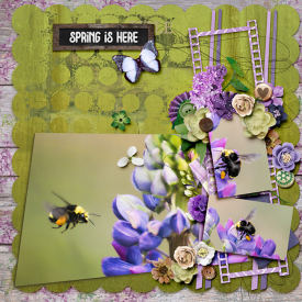 springishere-copy1.jpg
