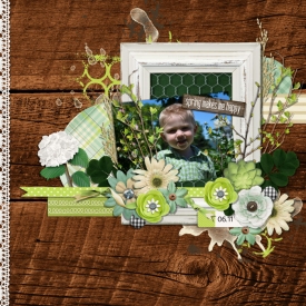 springtolifeCT.jpg