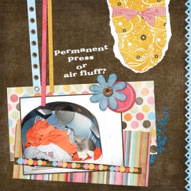 ssd-shutterbug-february.jpg
