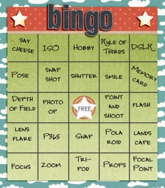 ssd_bingo_nsd1.jpg