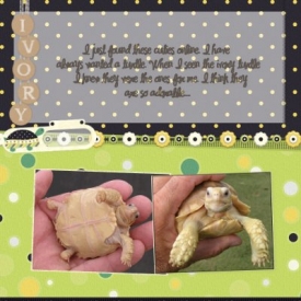 ssd_cookiechallenge_dianemichael_kl.jpg