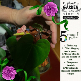 ssd_gardenathon_planting.jpg