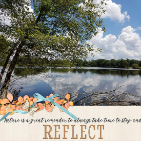 ssd_reflection_kcb_togetherwehaveitall.jpg