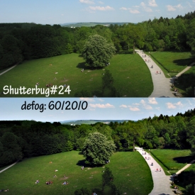 ssd_shutterbug_241.jpg