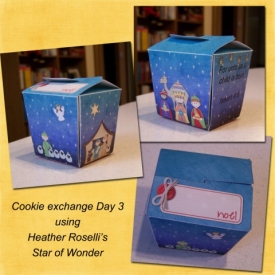 star_of_wonder_takeout_box_480_x_480_.jpg