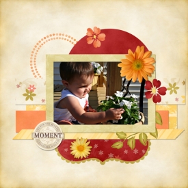 stop-_-smell-the-flowers.jpg