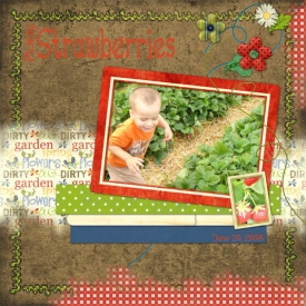 strawberry_field.jpg