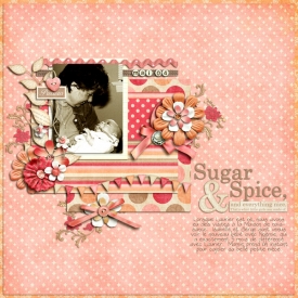 sugar-and-spice21.jpg