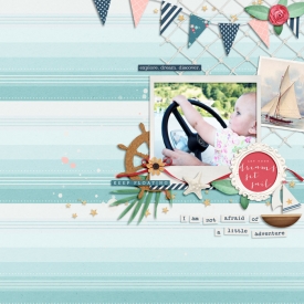 sugarplum_kcroninbarrow_adjustyoursails.jpg