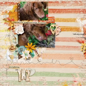 summersunshinewithtaz-copy.jpg