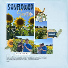 sunflowerseason_web.jpg