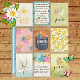 sunshine-pocket-page.jpg