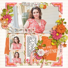 sunshine2019web1.jpg