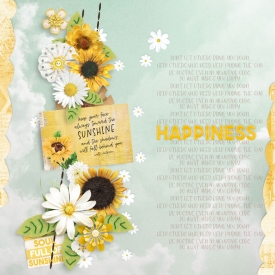 sunshine87.jpg