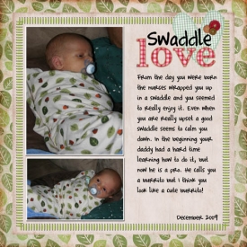 swaddle_love_remake_GP.jpg