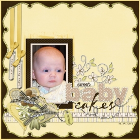 sweet_baby_cakes_copysmallb.jpg