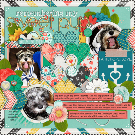 sweetpup_web.png