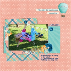swing_in_the_wind_bearbeitet-1.jpg